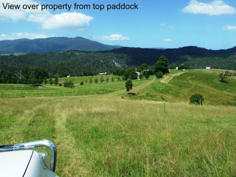 449 Sheepskin Road, Burragate NSW 2550