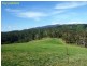 449 Sheepskin Road, Burragate NSW 2550