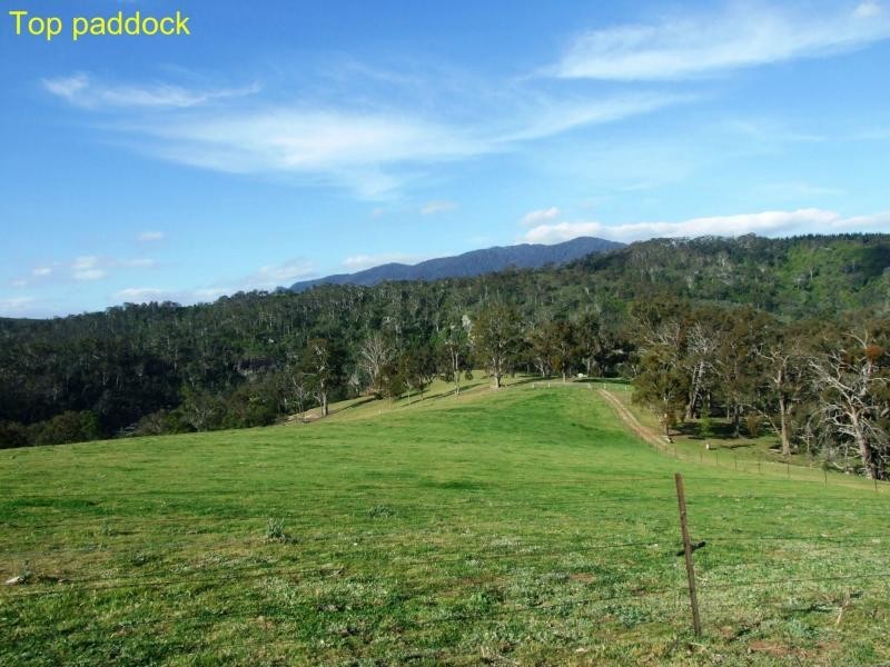 449 Sheepskin Road, Burragate NSW 2550