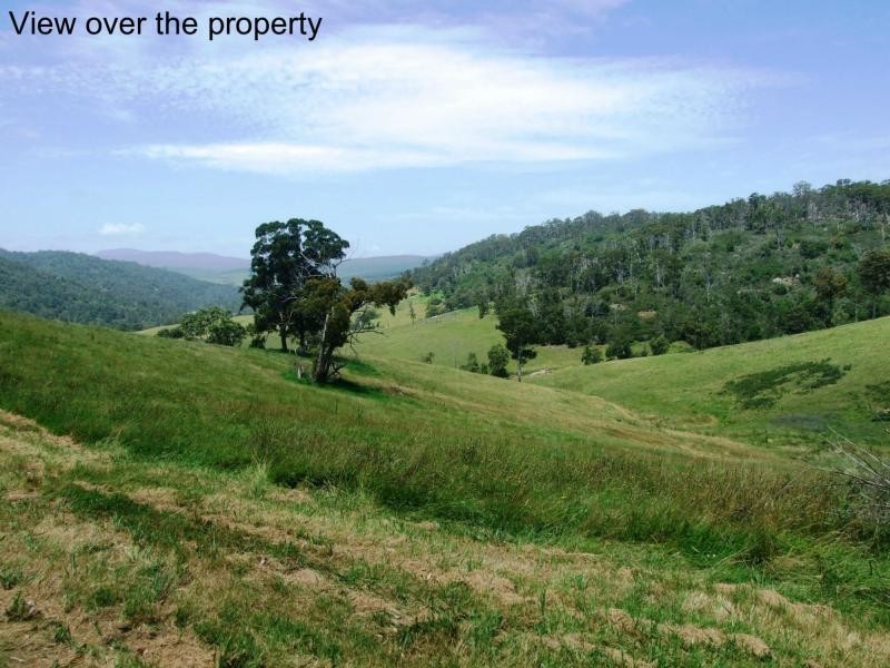 449 Sheepskin Road, Burragate NSW 2550
