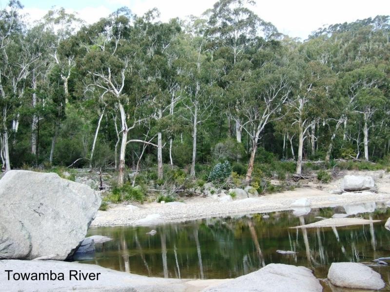 449 Sheepskin Road, Burragate NSW 2550