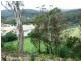 Kiah NSW 2551