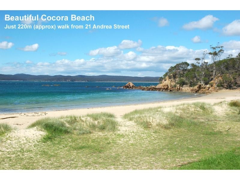 21 Andrea Street, Eden NSW 2551