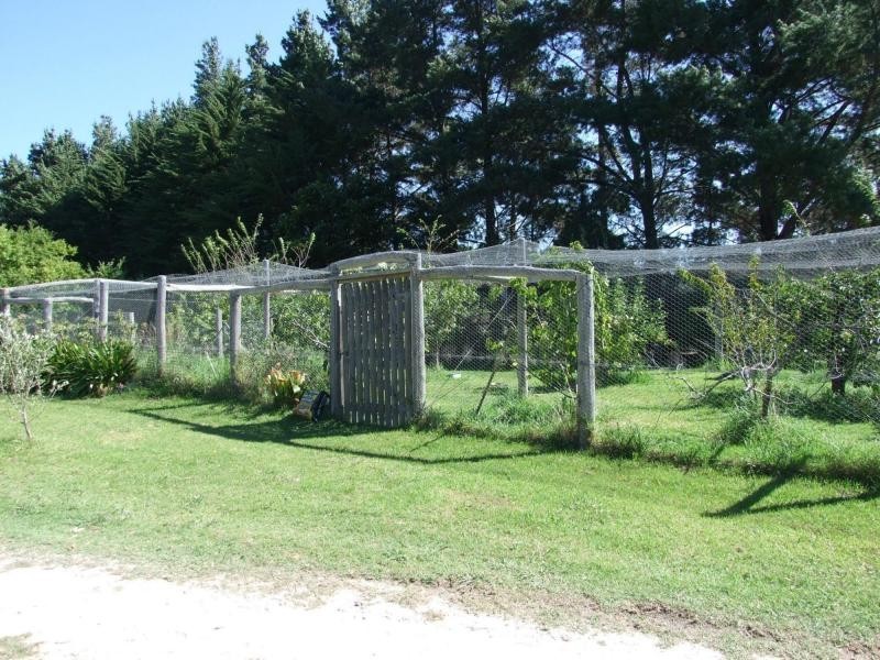 620 Back Creek Road, Lochiel NSW 2549