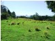 620 Back Creek Road, Lochiel NSW 2549