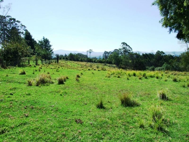 620 Back Creek Road, Lochiel NSW 2549