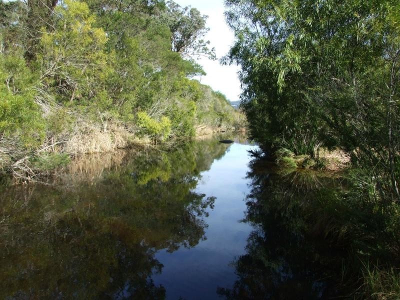 676 Mt Darragh Road, Lochiel NSW 2549