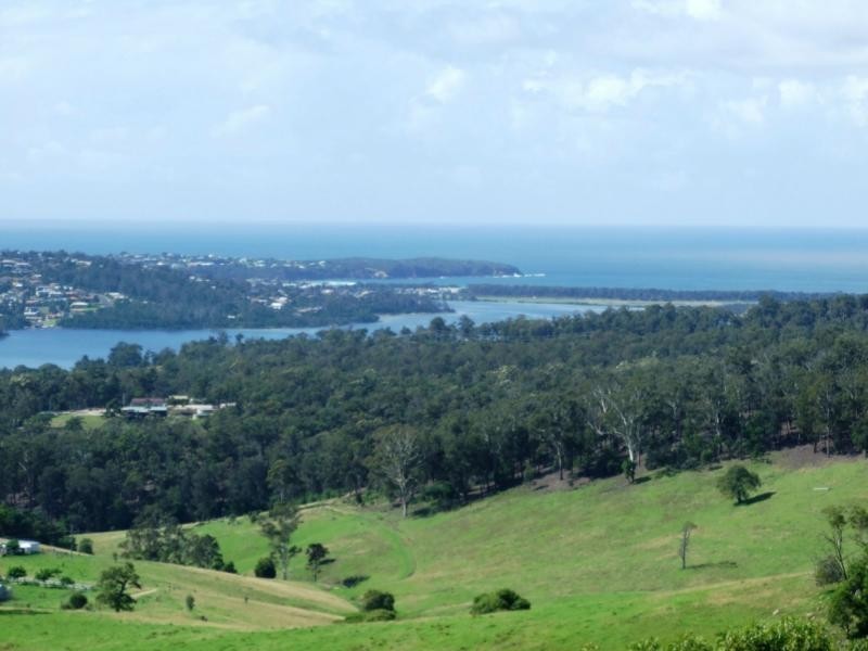 Millingandi NSW 2549