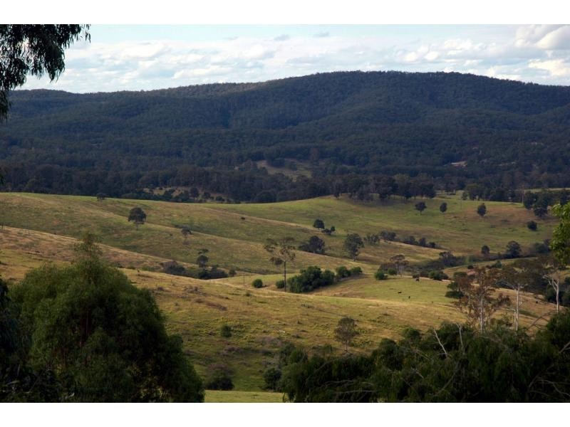 Millingandi NSW 2549
