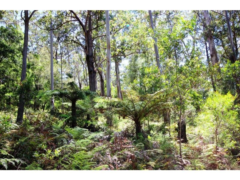 L3 Nethercote Road, Nethercote NSW 2549