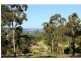 L14 Stringybark Place, Millingandi NSW 2549