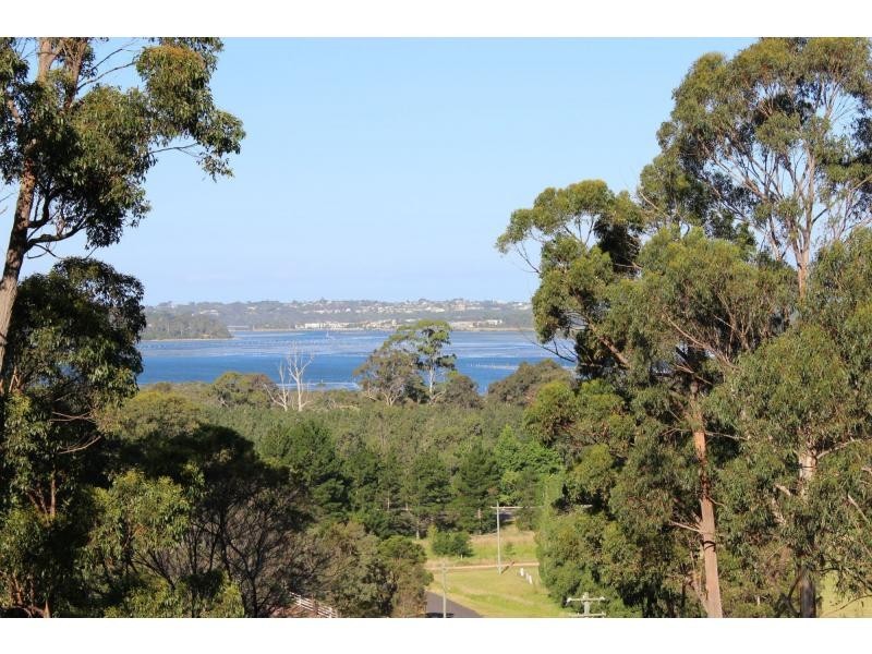 L14 Stringybark Place, Millingandi NSW 2549