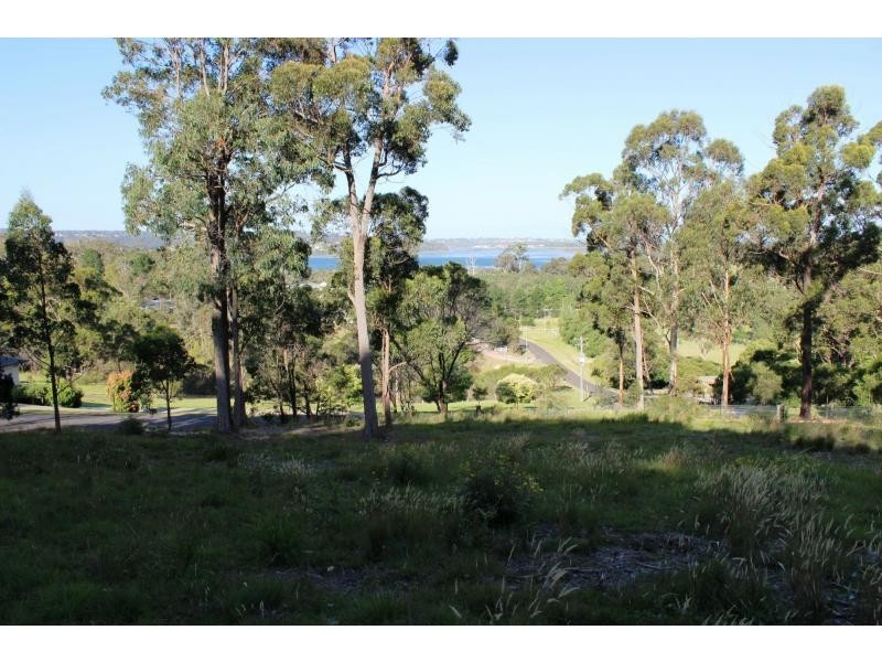 L14 Stringybark Place, Millingandi NSW 2549