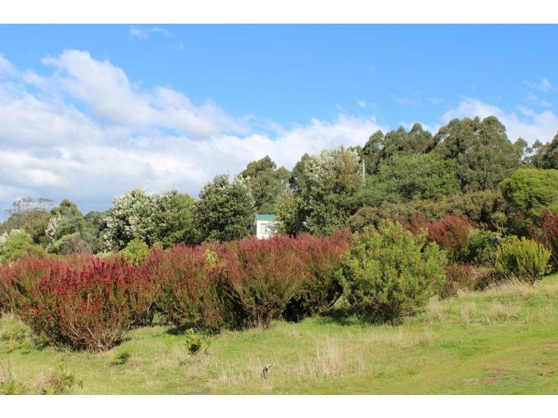 4726 Mt Darragh Road, Mount Darragh NSW 2632