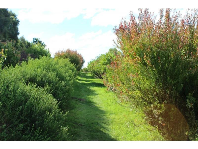 4726 Mt Darragh Road, Mount Darragh NSW 2632