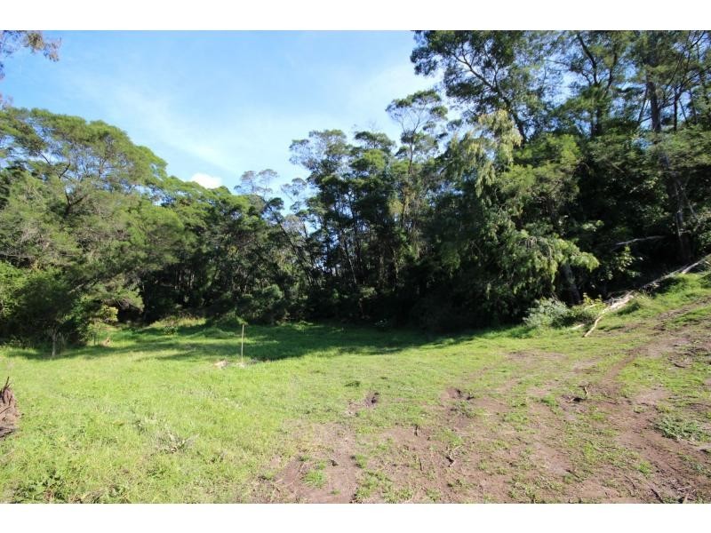 Millingandi NSW 2549