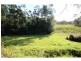 Millingandi NSW 2549