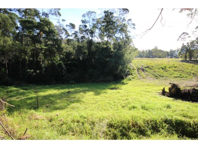 Millingandi NSW 2549