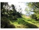 Millingandi NSW 2549