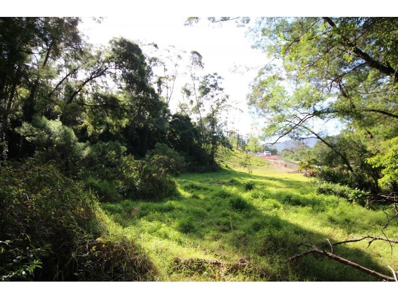 Millingandi NSW 2549