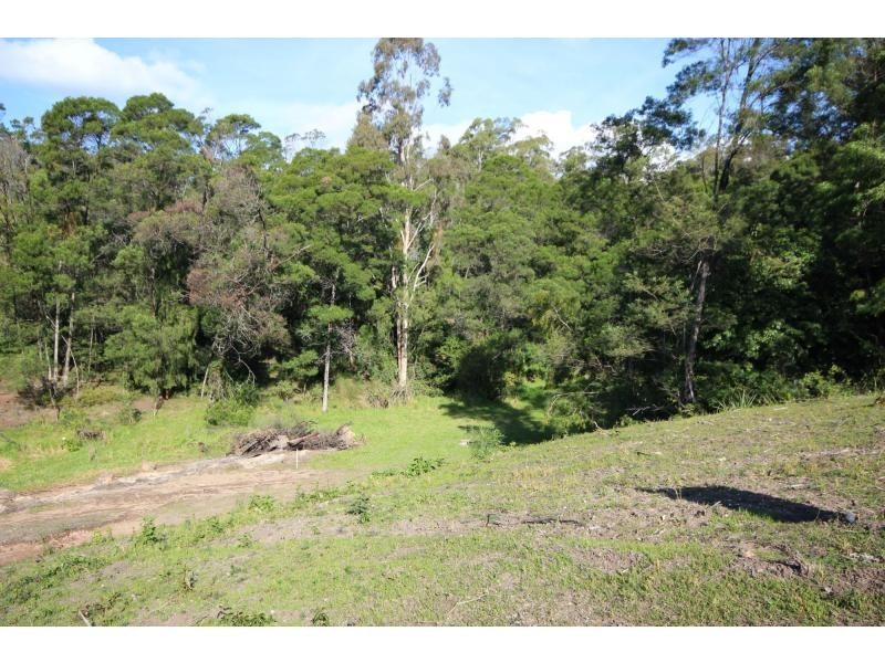 Millingandi NSW 2549