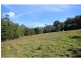 Millingandi NSW 2549