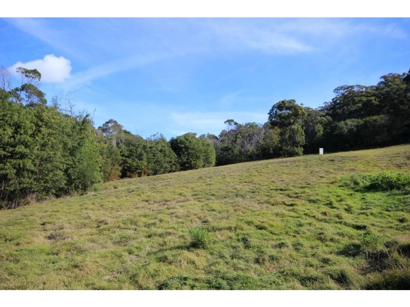 Millingandi NSW 2549