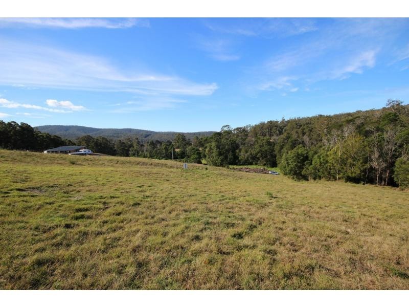 Millingandi NSW 2549