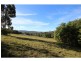 Millingandi NSW 2549