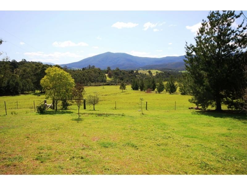 77 Ben Beasley Road, Towamba NSW 2550