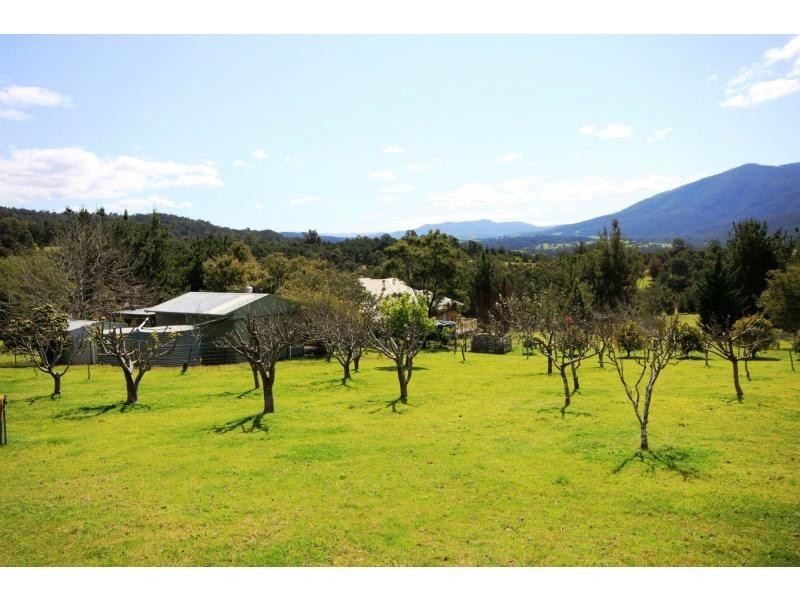 77 Ben Beasley Road, Towamba NSW 2550