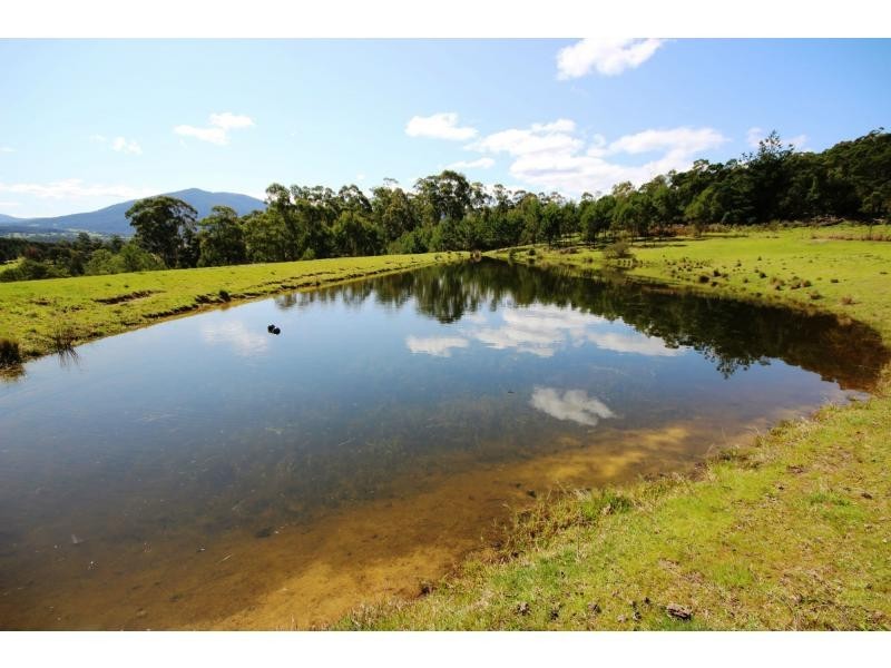 77 Ben Beasley Road, Towamba NSW 2550