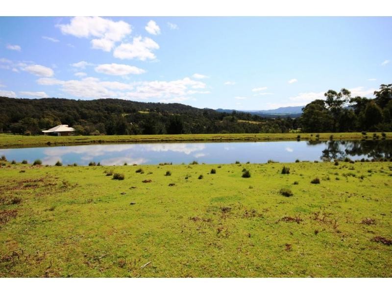 77 Ben Beasley Road, Towamba NSW 2550
