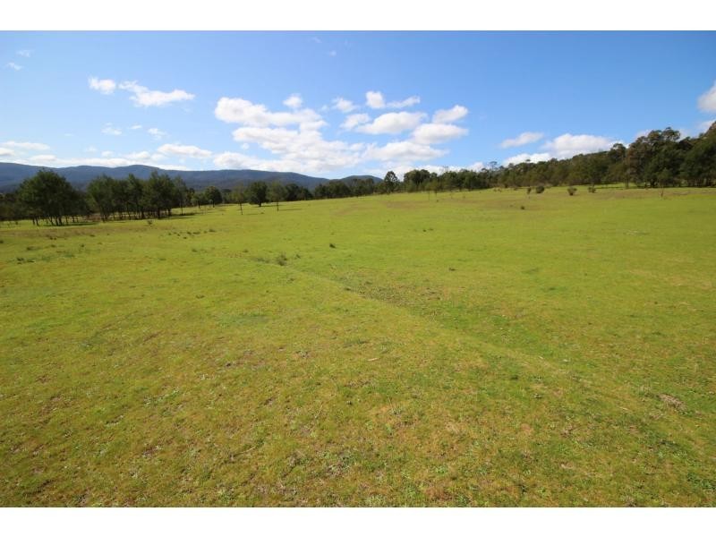 77 Ben Beasley Road, Towamba NSW 2550