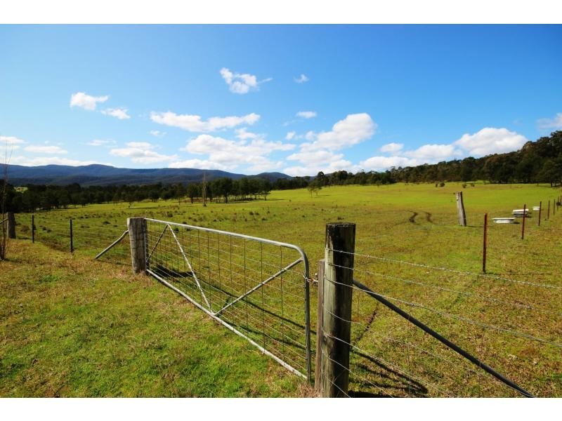 77 Ben Beasley Road, Towamba NSW 2550