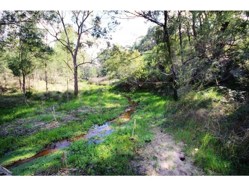 77 Ben Beasley Road, Towamba NSW 2550