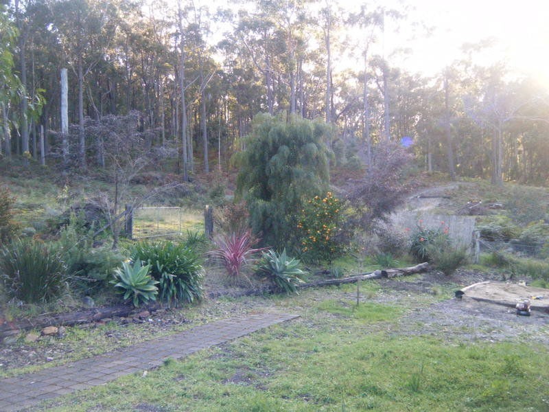 58 Lockview Farm Road, Lochiel NSW 2549