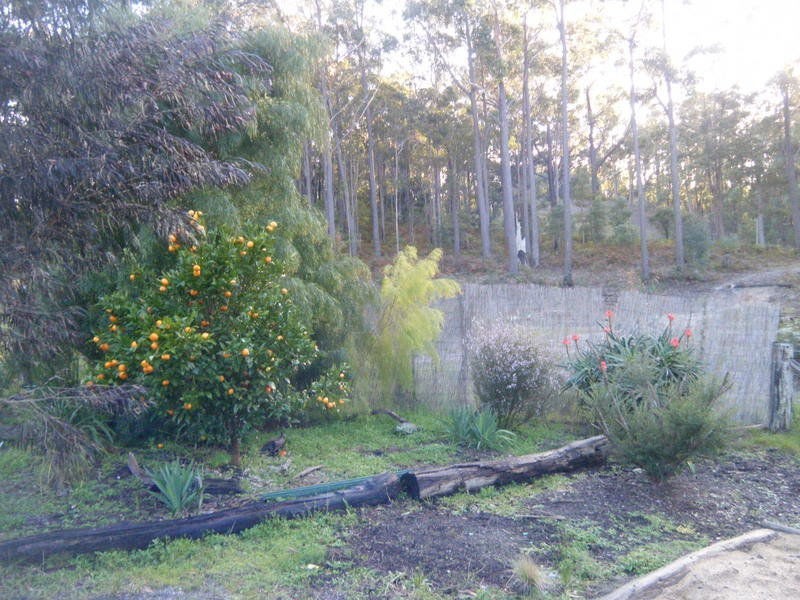 58 Lockview Farm Road, Lochiel NSW 2549