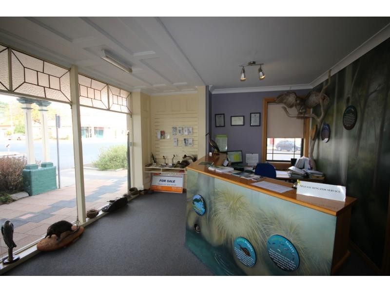 153 Maybe Street, Bombala NSW 2632