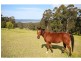 135 Nethercote Road, Eden NSW 2551