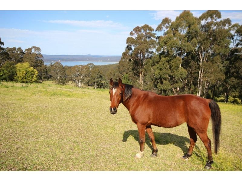 135 Nethercote Road, Eden NSW 2551