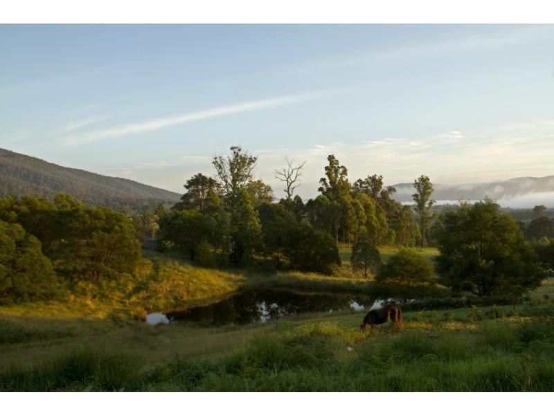 402 Yowrie Road, Cobargo NSW 2550