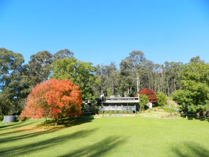 1625 Lower Towamba Road, (Upper Kiah, Via Mustering Ground Road), Kiah NSW 2551