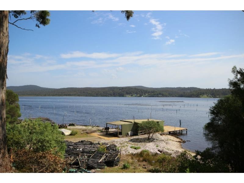 203 Daunceys Road, Wonboyn NSW 2551