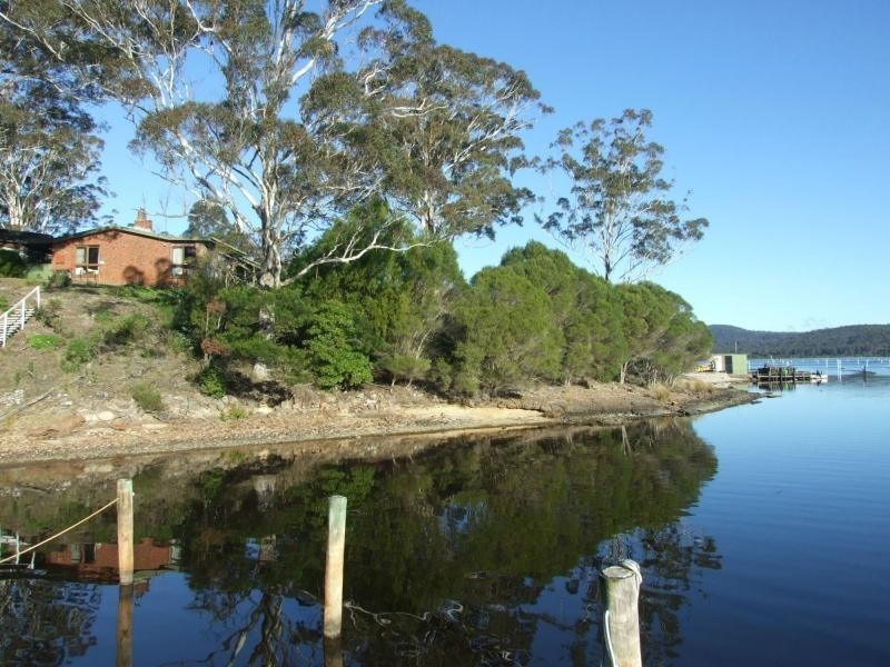 203 Daunceys Road, Wonboyn NSW 2551
