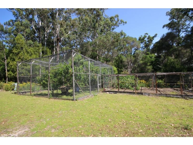 203 Daunceys Road, Wonboyn NSW 2551