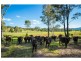 2529 Princes Highway, Millingandi NSW 2549
