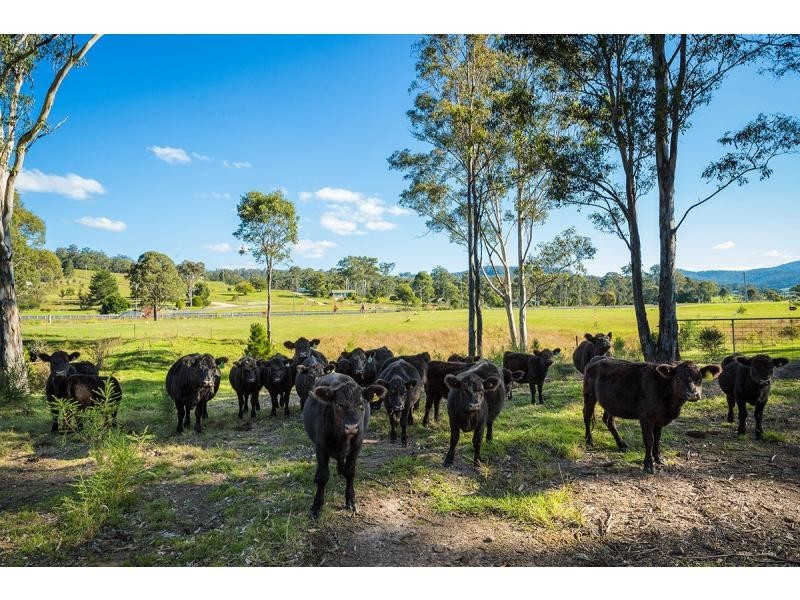 2529 Princes Highway, Millingandi NSW 2549