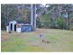 890 Burragate Road, Wyndham NSW 2550
