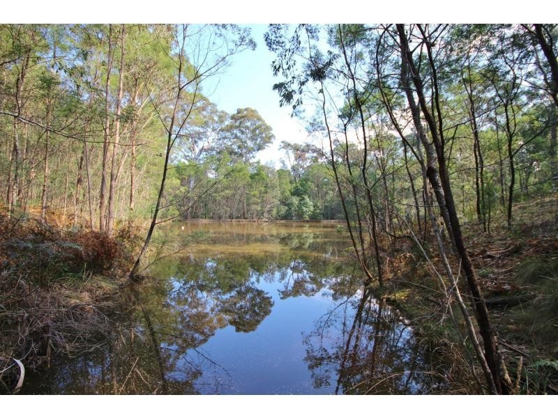 890 Burragate Road, Wyndham NSW 2550